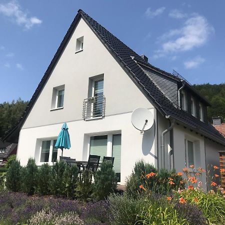 Ferienwohnungen Am Koehlerhang Bad Lauterberg Im Harz Dış mekan fotoğraf